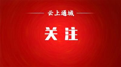 湖北通城：多措并举抓实村级后备力量培育工作