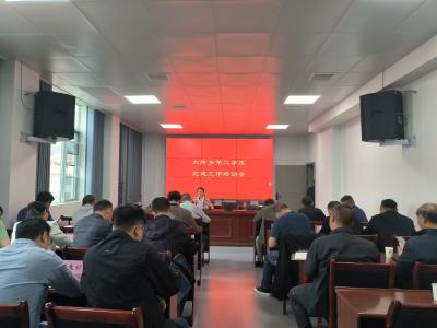 通城县大坪乡召开第二季度党建工作培训会