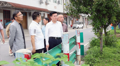 杨修伟到麦市镇开展巡河工作