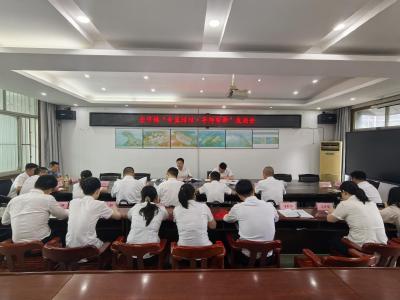 通城县麦市镇开展“青蓝结对·导师帮带”座谈会 助力年轻干部成长成才
