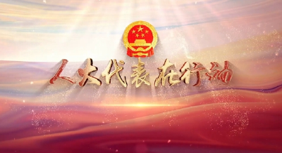 【人大代表在行动③】集思广益 把脉问诊 推动发展