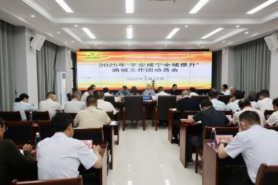 2025年“平安咸宁全域提升”通城工作团动员会议召开