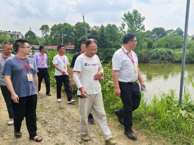 聚力支点建设·共建水美关刀丨通城县关刀镇人大代表开展专题调研活动
