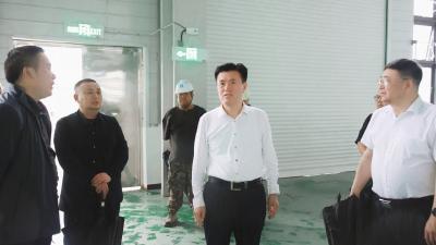 杨修伟调研督办全县招商引资项目建设工作