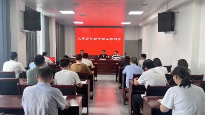 通城县大坪乡召开年轻干部工作例会