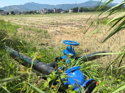 通城县关刀镇：人大代表深入调研解民忧  助力农业基地灌溉升级