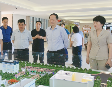 省人大常委会调研组来通城调研养老服务工作
