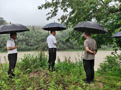 通城县马港镇：闻“汛”而动 人大代表筑牢群众“安全堤坝”