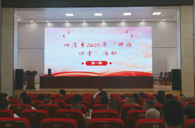 【干部素质提升年】通城县四庄乡开展2025年第一期“雏雁讲堂”活动