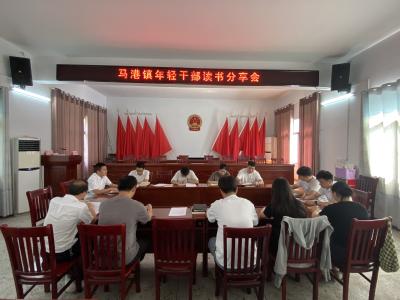 【干部素质提升年】通城县马港镇开展年轻干部读书分享会