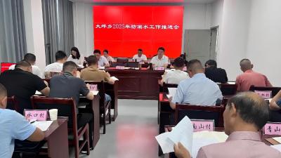 通城县大坪乡：做好防溺水宣传教育 保障学生快乐暑假