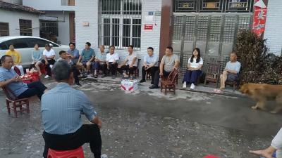 通城县马港镇：凝聚代表力量，共织反诈“安全网”