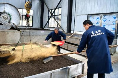 非遗煮酒醉乡愁：一个返乡青年的“道兴隆”瑶香型白酒复兴梦
