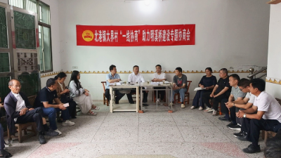 通城县政协：“一线协商”助力北港镇大界村明溪桥建设