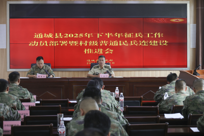 通城县召开2025年下半年征兵工作动员部署会暨村级普通民兵连建设推进会