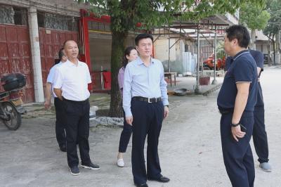 杨修伟到麦市镇关刀镇调研指导重点工作
