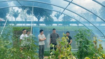 团通城县委：聚力搭建交流平台 探索服务新兴领域青年创业新路径