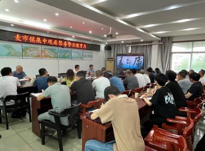 通城县麦市镇组织干部观看禁毒警示教育片