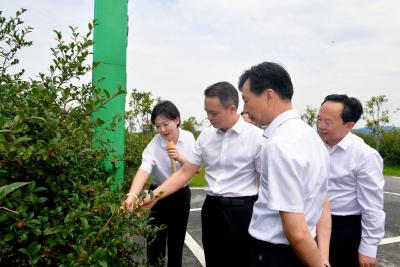 周锋到通城县调研时强调 坚定不移落实落细“产业倍增”行动 为推动县域经济高质量发展蓄势赋能