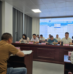 通城县大坪乡：对标加压 全力冲刺 高质量迎接农村“三资”监管平台省级验收