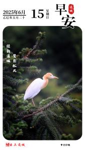 【海报】早安·隽秀通城