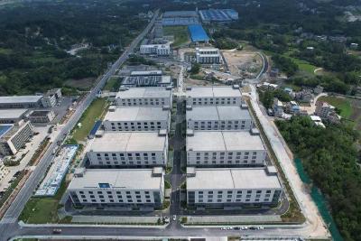 筑巢引凤建平台 湖北通城研磨产业发展增添“新引擎”