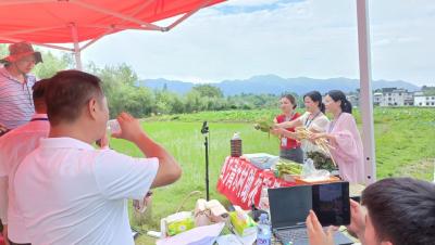 通城县四庄乡：培训赋能“新农人” 直播带货拓销路