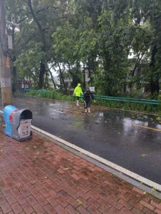 雨停即动！通城县四庄乡派出所及时清理道路树枝保畅通