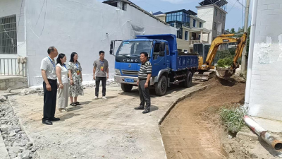 通城县石南镇：组织政协委员开展视察监督，助力美丽乡村建设