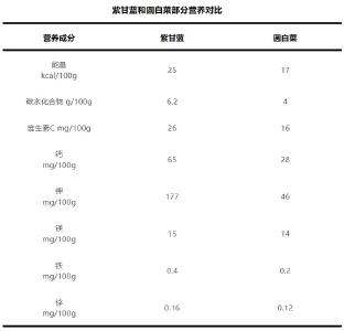 这种蔬菜花青素含量比蓝莓还高！夏天凉拌吃营养又美味
