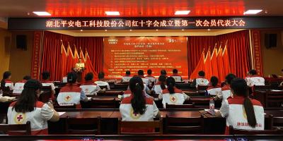 湖北平安电工科技股份公司成立红十字会  开启公益新征程