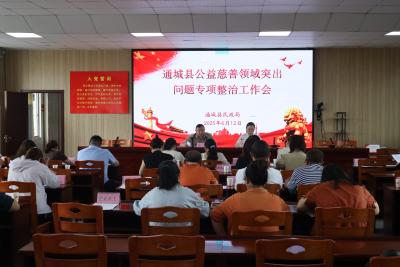 通城县召开公益慈善领域突出问题专项整治工作部署会