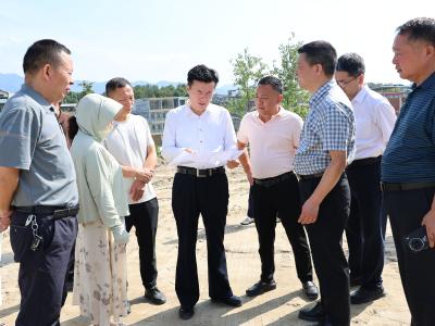杨修伟到北港镇调研重点项目建设工作