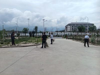 通城县草鞋村：党员群众齐上阵 清洁家园焕新颜