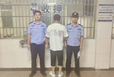 【隽剑攻坚】通城公安侦破一起“指尖赌场”案