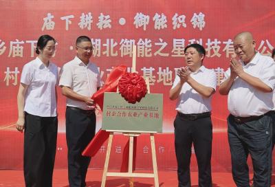 村企携手促振兴｜通城县四庄乡庙下村与湖北御能之星科技有限公司共建农业产业基地签约仪式举行