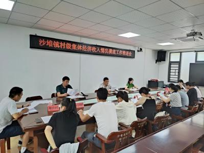 通城县沙堆镇召开村级集体经济收入情况摸底工作推进会