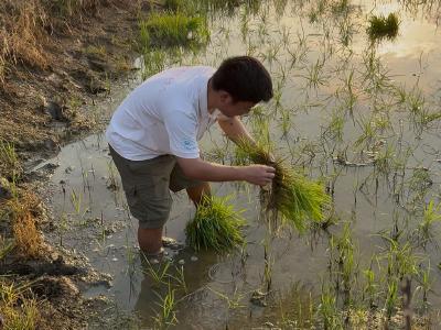 见证产业兴农 体悟农耕艰辛丨武昌理工学院“启元计划”星火志愿服务队到通城县沙堆镇湾船咀村开展农田调研活动