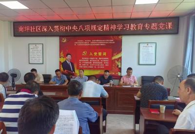 通城县大坪乡南坪社区开展“七一”支部主题党日活动