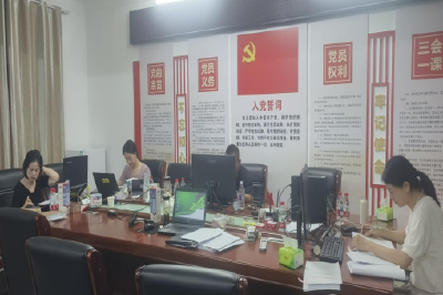 通城审计：积极履职尽责扎实开展交叉审计