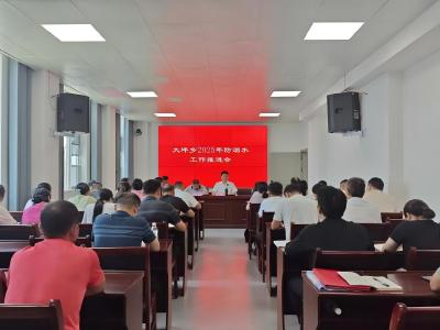 筑牢安全防线 守护暑期平安丨通城县大坪乡召开2025年防溺水工作推进会