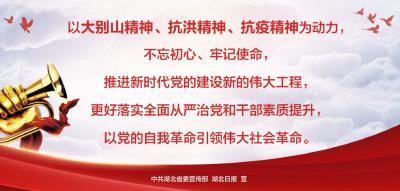 “弘扬三大精神 奋力建成支点”海报