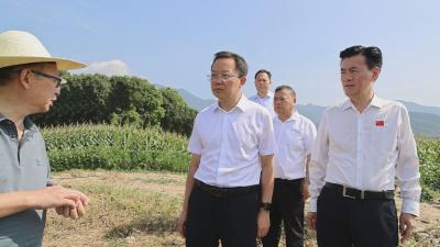 全市高标准农田建设现场推进会在通城召开