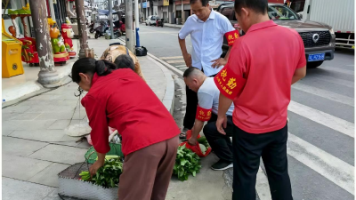 通城县大坪乡集镇“焕新”行动：整治环境，提升乡容