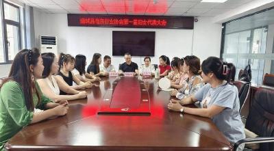 通城县电商行业协会妇联成立 