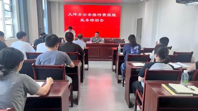 通城县大坪乡开展“报账业务”培训会