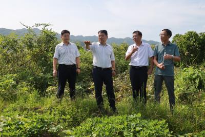 通城县人大常委会调研代表建议办理情况