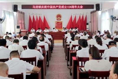 通城县马港镇召开庆祝中国共产党成立104周年大会