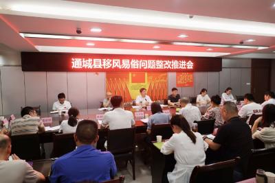 通城县召开移风易俗问题整改推进会