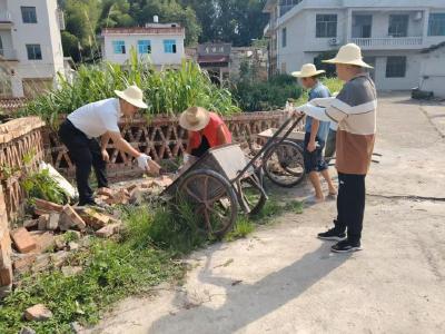 通城县大坪乡：小整治撬动大民生 点亮乡村新生活